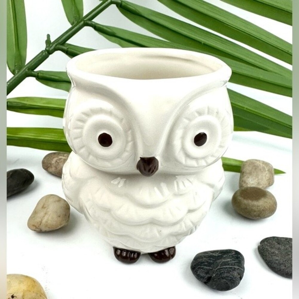Adorable white and brown ceramic owl
